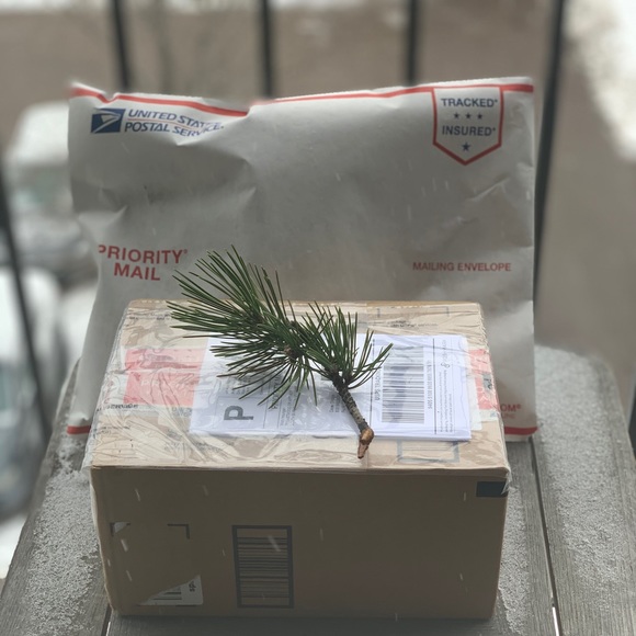 Welcome to my Closet! - Picture 5 of 12